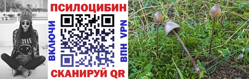 Псилоцибиновые грибы прущие грибы  Купить закладки  Игра 